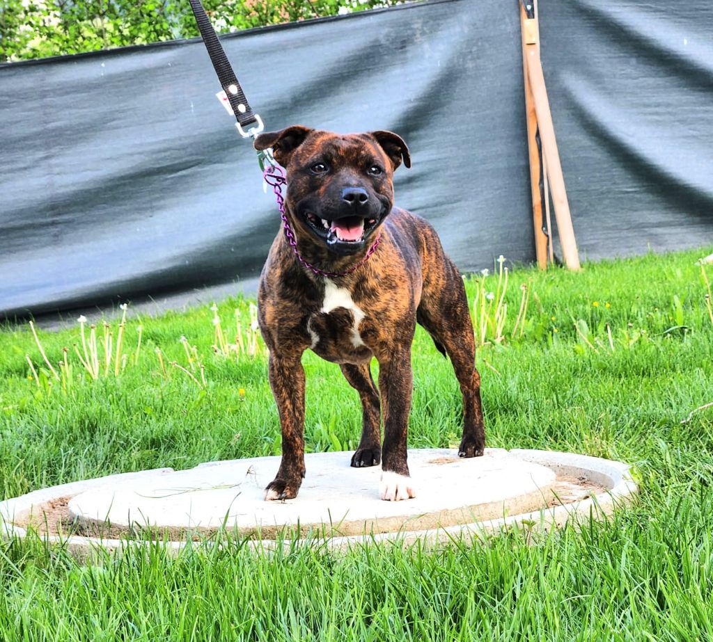 Sexy Du Haut Château